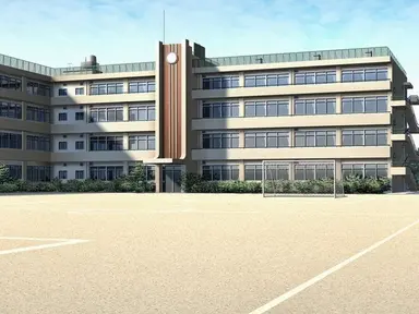 sex school
