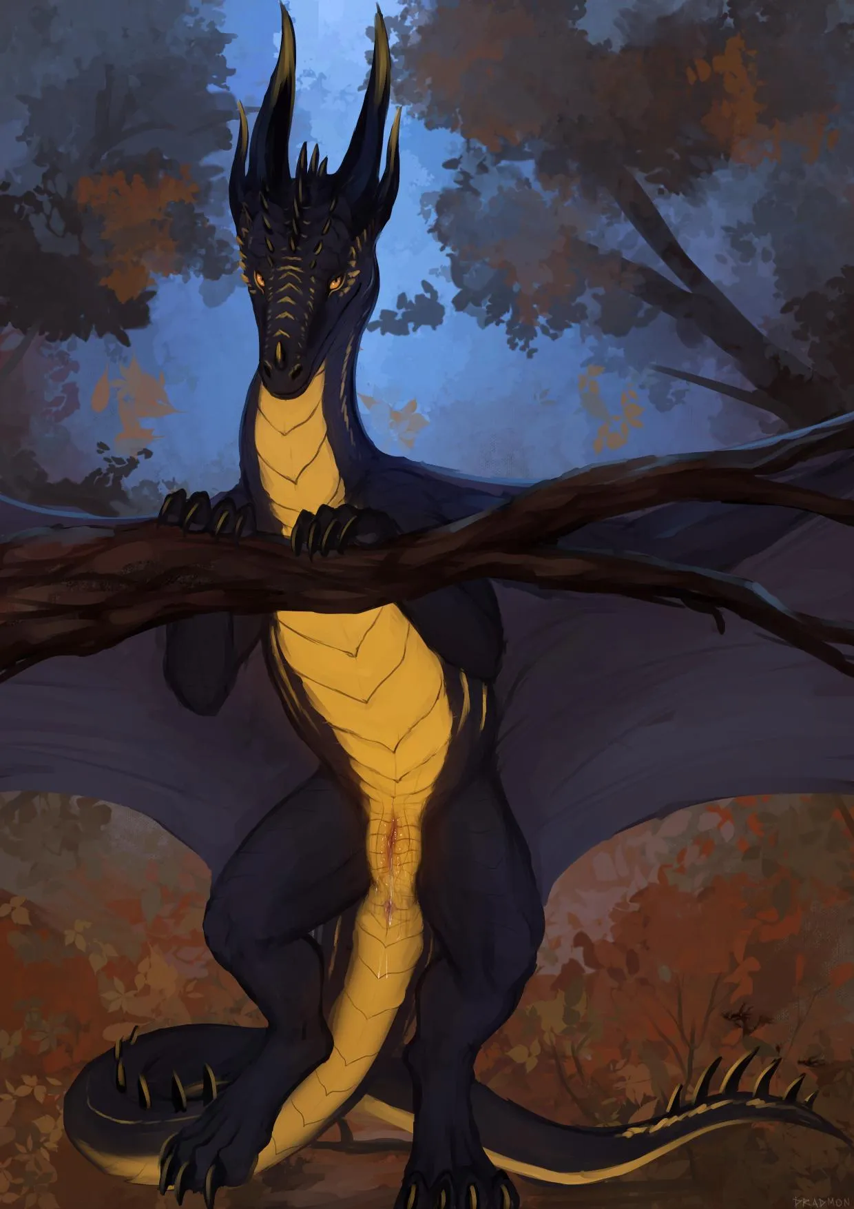 💛Luna💛 the dragon 