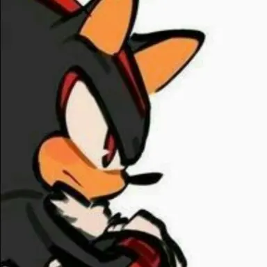 Shadow The Hedgehog