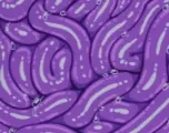 Rape Tentacles