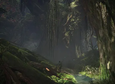 Forest of Monsters