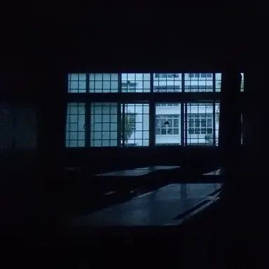 Sex school