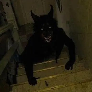Skinwalker